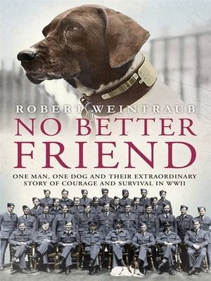 cover image of No Better Friend